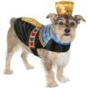 Frisco Royal Pharoah Dog & Cat Costume 1 Frisco Royal Pharoah Dog & Cat Costume -Frisco 335114 MAIN. AC SS1800 V1658346560