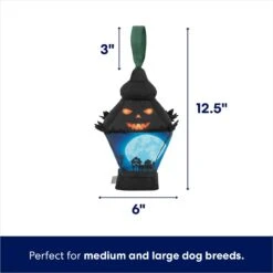 Frisco Halloween Lantern Ballistic Nylon Plush Squeaky Dog Toy 8 Frisco Halloween Lantern Ballistic Nylon Plush Squeaky Dog Toy -Frisco 344138 PT1. AC SS1800 V1689878449