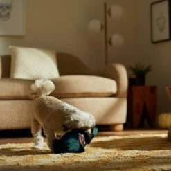 Frisco Halloween Lantern Ballistic Nylon Plush Squeaky Dog Toy 9 Frisco Halloween Lantern Ballistic Nylon Plush Squeaky Dog Toy -Frisco 344138 PT3. AC SS1800 V1657657042