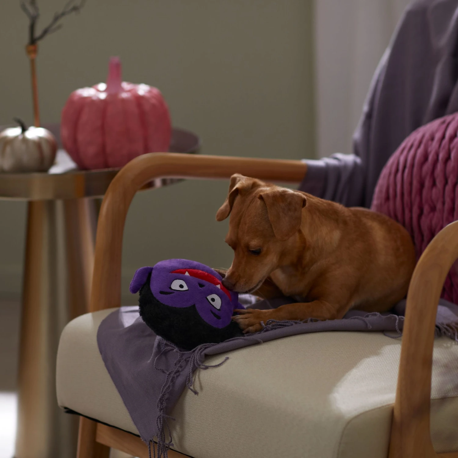 Frisco Halloween Vampire Round Plush Squeaky Dog Toy 5 Frisco Halloween Vampire Round Plush Squeaky Dog Toy - Image 3