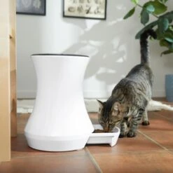 Frisco Automatic Cat & Dog Feeder, White, 13.5 Cup -Frisco 345285 PT6. AC SS1800 V1658219294
