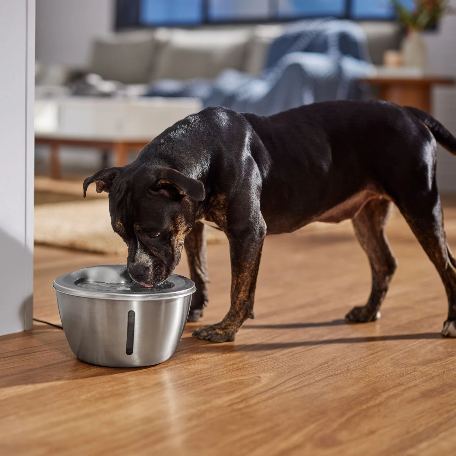 Frisco Stainless Steel Heart Dog & Cat Fountain 8 Frisco Stainless Steel Heart Dog & Cat Fountain - Image 6