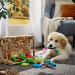 Frisco Small Breed Puppies Rope & TPR Variety Pack Puppy Toy 10 Frisco Small Breed Puppies Rope & TPR Variety Pack Puppy Toy -Frisco 358552 PT4. AC SS1800 V1669908588