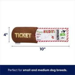 Frisco Holiday Home For The Holidays Airline Ticket Bungee Plush Squeaky Dog Toy -Frisco 360966 PT1. AC SS1800 V1695047244