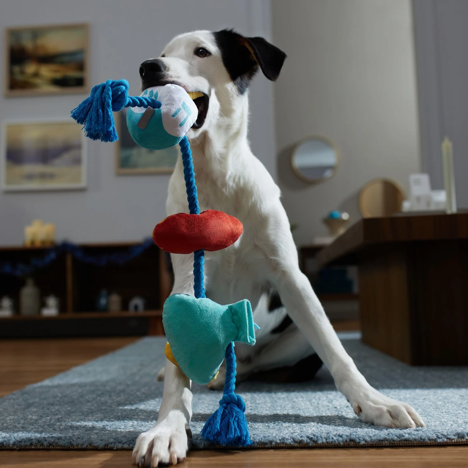 Frisco Hanukkah Celebration Plush With Rope Squeaky Dog Toy 5 Frisco Hanukkah Celebration Plush With Rope Squeaky Dog Toy - Image 3