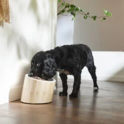 Frisco Elevated Slanted Bamboo Melamine Non-Skid Dog Bowl With Bamboo Stand -Frisco 363387 PT2. AC SS1800 V1657657267