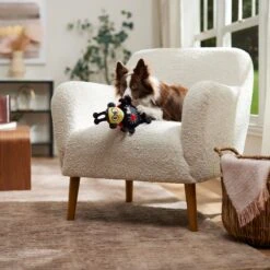 Frisco Valentine Jammin' Ladybug Plush Squeaky Dog Toy -Frisco 371083 PT3. AC SS1800 V1668737455