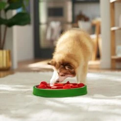 Frisco Watermelon Interactive Puzzle Dog Toy, Advanced 14 Frisco Watermelon Interactive Puzzle Dog Toy, Advanced -Frisco 506322 PT5. AC SS1800 V1674667034