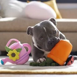 Frisco Spring Potted Plant And Watering Can Plush Squeaky Dog Toy -Frisco 541494 PT4. AC SS1800 V1702500565