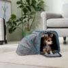 Frisco Single Soft Sided Expandable Airline Approved Dog & Cat Carrier -Frisco 541670 MAIN. AC SS1800 V1663772375