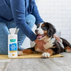 FURminator Long Hair Dog Deshedding Tool & Frisco Shed Reducing Waterless Grooming Wipes For Dogs & Cats, 50 Count 15 FURminator Long Hair Dog Deshedding Tool & Frisco Shed Reducing Waterless Grooming Wipes For Dogs & Cats, 50 Count -Frisco 575134 PT6. AC SS1800 V1657660396