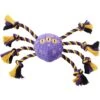 Frisco Halloween Magical Spider Plush With Rope Squeaky Dog Toy -Frisco 668310 MAIN. AC SS1800 V1689350982