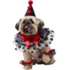 Frisco Clown Dog & Cat Costume Accessory 2 Frisco Clown Dog & Cat Costume Accessory -Frisco 706526 MAIN. AC SS1800 V1689350103