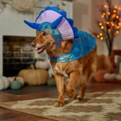 Frisco Dinosaur Dog & Cat Costume -Frisco 707894 PT7. AC SS1800 V1689350593