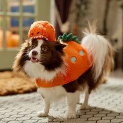 Frisco Furry Dinosaur Dog & Cat Costume -Frisco 708190 PT7. AC SS1800 V1689278373