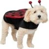 Frisco Glittered Ladybug Dog & Cat Costume -Frisco 708254 MAIN. AC SS1800 V1689277785