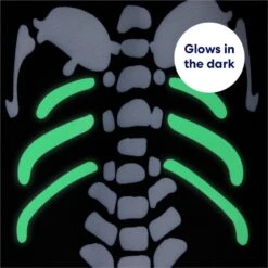 Frisco Glow In The Dark Skeleton Dog & Cat Costume 15 Frisco Glow In The Dark Skeleton Dog & Cat Costume -Frisco 709038 PT5. AC SS1800 V1689340910