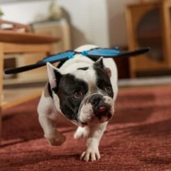 Frisco Magical Butterfly Wings Dog & Cat Costume Accessory 13 Frisco Magical Butterfly Wings Dog & Cat Costume Accessory -Frisco 713062 PT7. AC SS1800 V1689354962