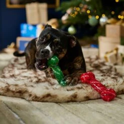 Frisco Holiday Naughty & Nice TPR Bone Squeaky Dog Toy -Frisco 739702 PT3. AC SS1800 V1694812786
