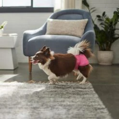 Skout's Honor Laundry Booster Stain & Odor Removal Additive, 32-oz Bottle & Frisco Washable Female Diaper -Frisco 773022 PT8. AC SS1800 V1676749103