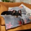 Frisco Plush Cat & Dog Throw Blanket -Frisco 816702 MAIN. AC SS1800 V1701117014