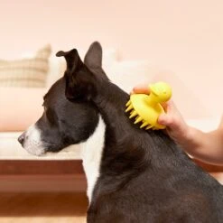 Buddy Wash Relaxing Green Tea & Bergamot Dog Shampoo & Conditioner & Frisco Rubber Duckie Dog & Cat Curry Brush 18 Buddy Wash Relaxing Green Tea & Bergamot Dog Shampoo & Conditioner & Frisco Rubber Duckie Dog & Cat Curry Brush -Frisco 826422 PT7. AC SS1800 V1681332439