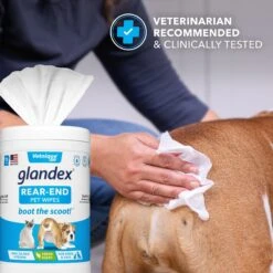 Vetnique Labs Glandex Wipes Rear End Anal Gland Cleansing & Deodorizing Hygienic Rear End Boot The Scoot Dog & Cat Wipes & Frisco Disposable Male Dog Wraps -Frisco 826446 PT4. AC SS1800 V1681332384