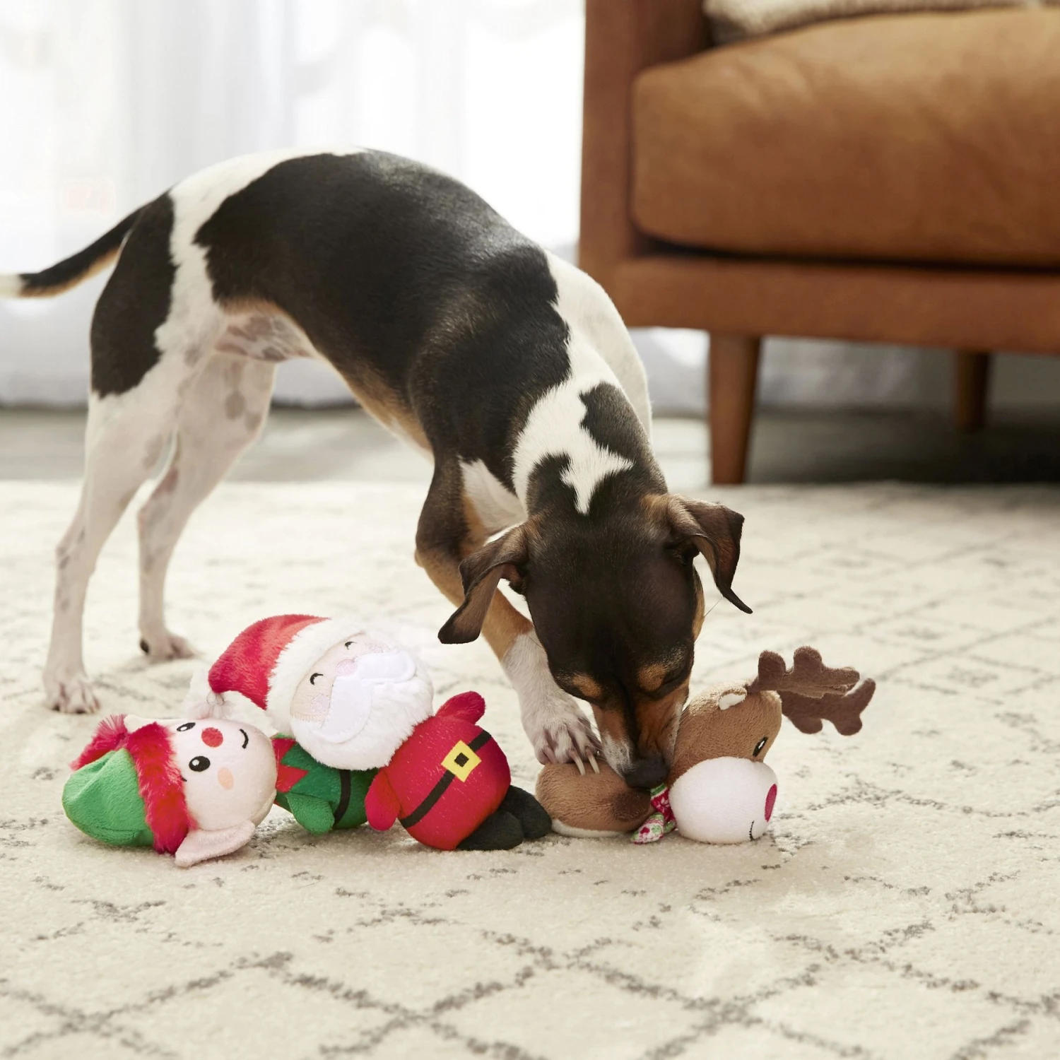 Frisco Holiday Santa's Helpers Plush Squeaky Dog Toy, 3 Count & Frisco Holiday Ho Ho Ho Fetch Squeaky Tennis Ball Dog Toy 6 Frisco Holiday Santa's Helpers Plush Squeaky Dog Toy, 3 Count & Frisco Holiday Ho Ho Ho Fetch Squeaky Tennis Ball Dog Toy - Image 4