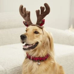 Frisco Jingle Bells Dog & Cat Holiday Collar With Bells, 1 Count & Frisco Holiday Antler Headband & Bell Collar Dog & Cat Costume -Frisco 986294 PT7. AC SS1800 V1698258404