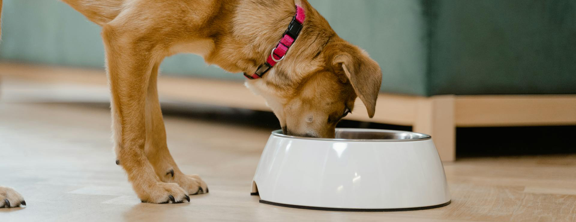 Frisco 3 Frisco -Frisco pexels mart production 8434676